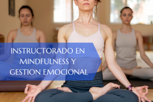 Instructorado en Mindfulness y Gestion Emocional